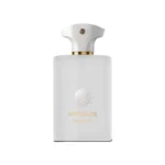 عطر آمواج دسیژن مردانه با رایحه چوبی و ادویه‌ای